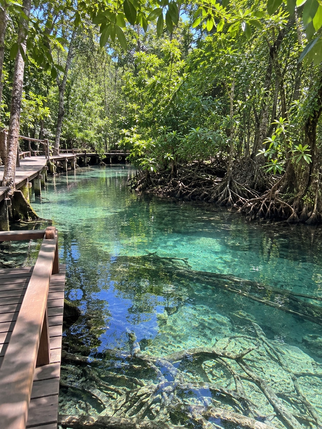 🌿💚 Review of Tha Pom Klong Song Nam, Krabi Province 💦