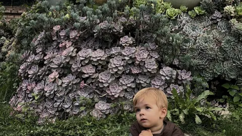 A Fairytale Garden in Dali You Won’t Believe Is Real 🌿✨ — traveler post in Dali