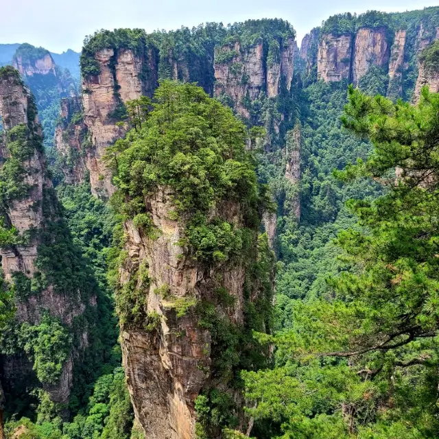 Zhangjiajie Avatar Mountain National Park 