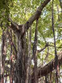 Gulangyu Island: A Quaint Oasis of Colonial Charm
