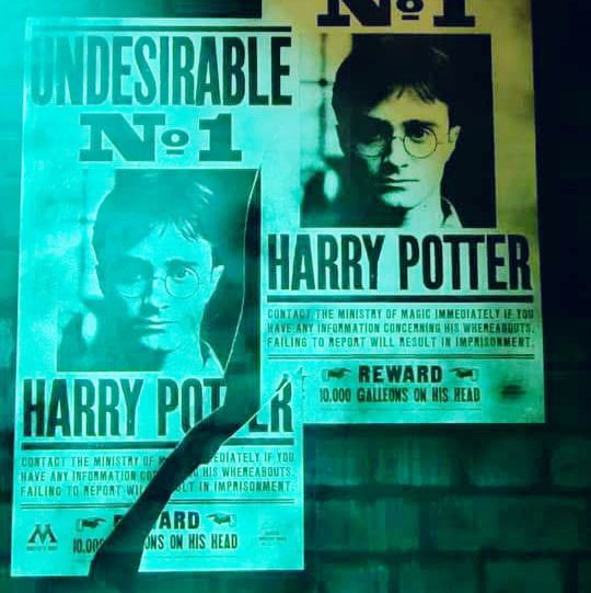 A Spellbinding Experience: Harry Potter at Sentosa 🇸🇬