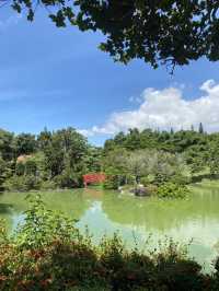 【ドミニカ】日本庭園がある国立植物園🌳⛩️