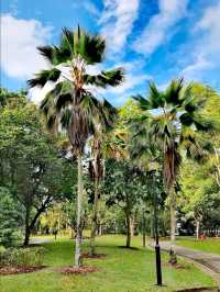 西岸公園