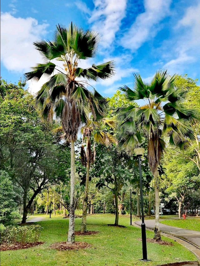 西岸公園