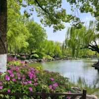 月湖公園氣氛悠閒放鬆