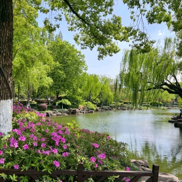 月湖公園氣氛悠閒放鬆