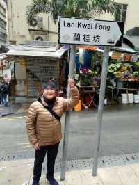 The Land Of Dim-Sum