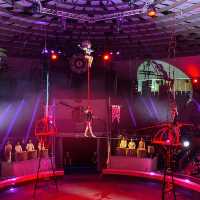 🇭🇺 BEST Circus Experience! 🤹‍♀️