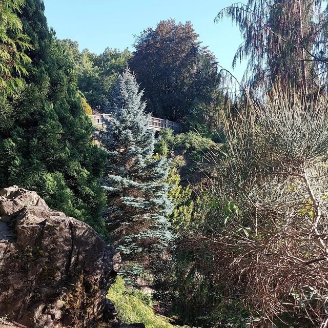 Queen Elizabeth Park Vancouver 🌴🇨🇦