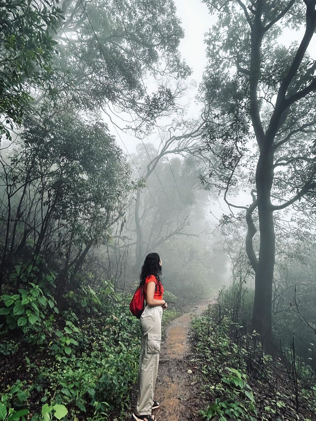 Matheran: India's Iconic Hill Destination 🌄
