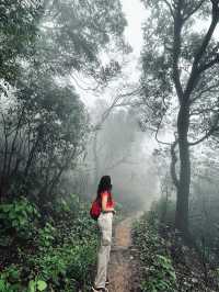 Matheran: 인도의 상징적인 언덕 여행지 🌄