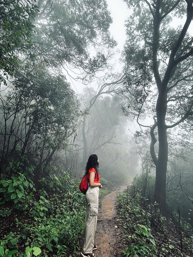 Matheran: 인도의 상징적인 언덕 여행지 🌄