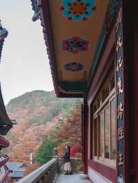 충북 단양 구인사 🍁