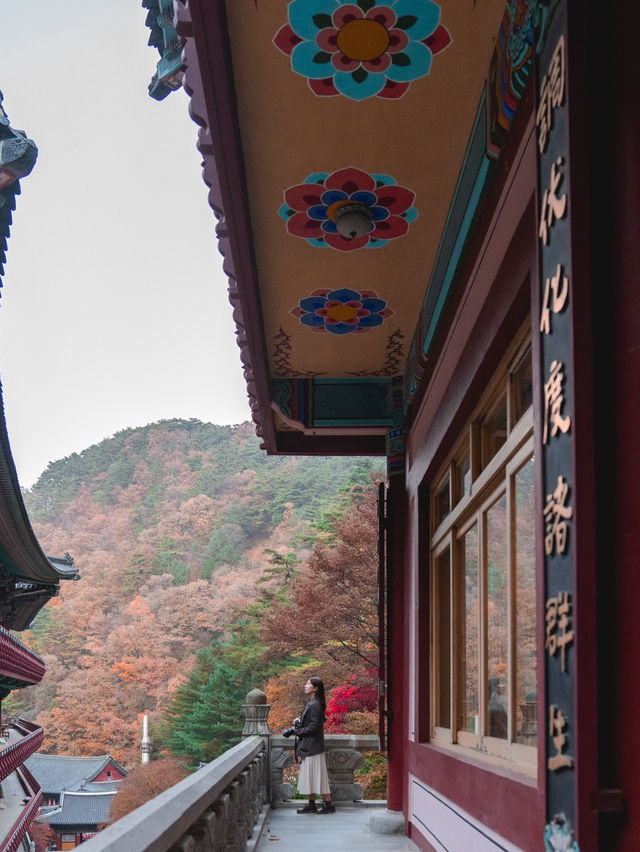 충북 단양 구인사 🍁