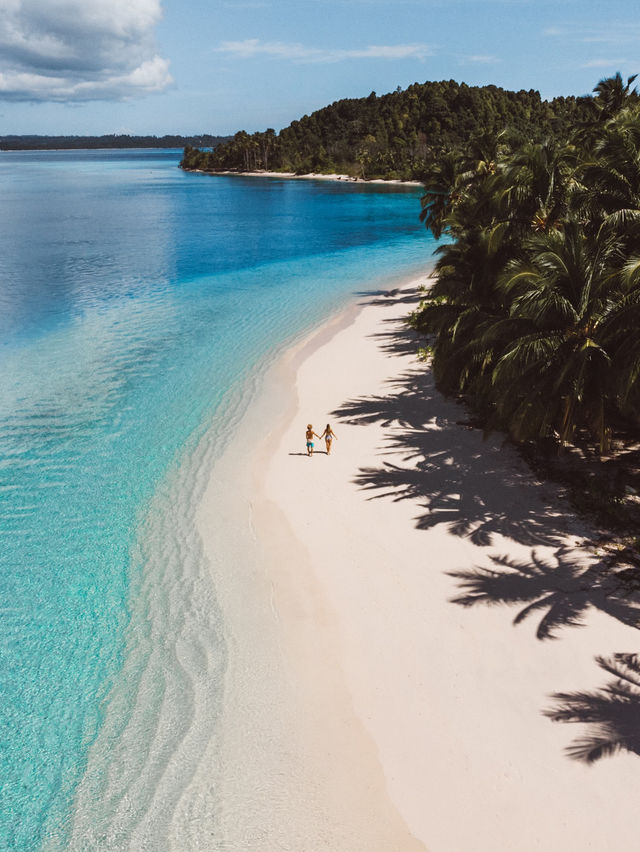 발리 🏝️