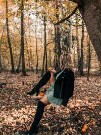 가을의 뉘른베르크 탐험 🍂
