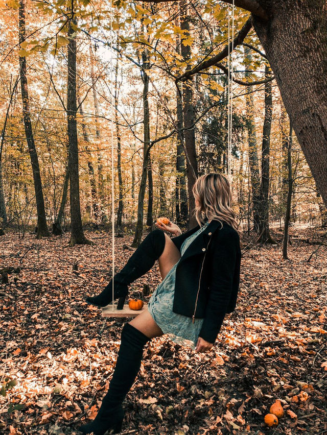 가을의 뉘른베르크 탐험 🍂