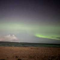 The Aurora Lights 