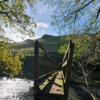 Cows, caves and cliffs in Dovedale