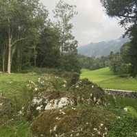 Exploring Asturias’ Lush Landscapes