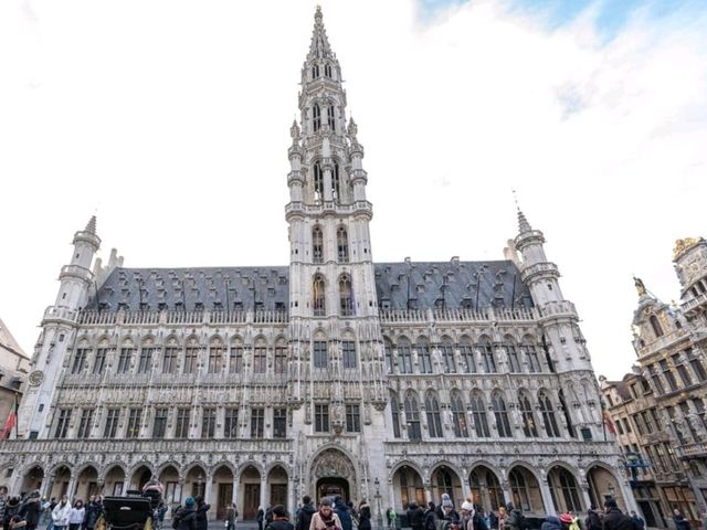 ชมแสงสีคริสต์มาสสุดอลังการที่จตุรัส Grand Place