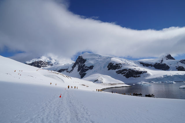 🇦🇶 Day 5-8: FINALLY REACHED ANTARCTICA