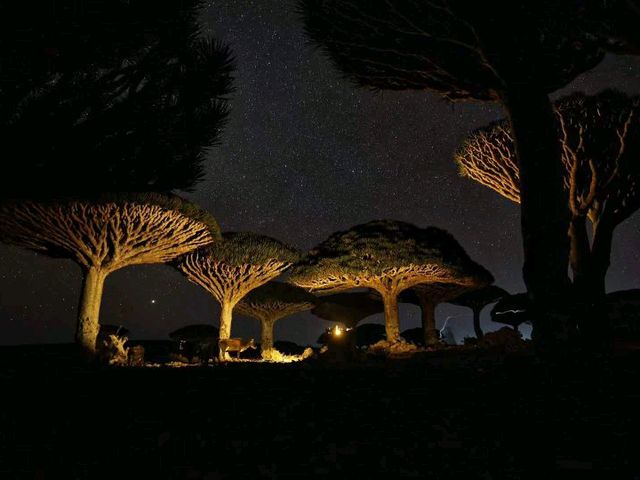 也门风景