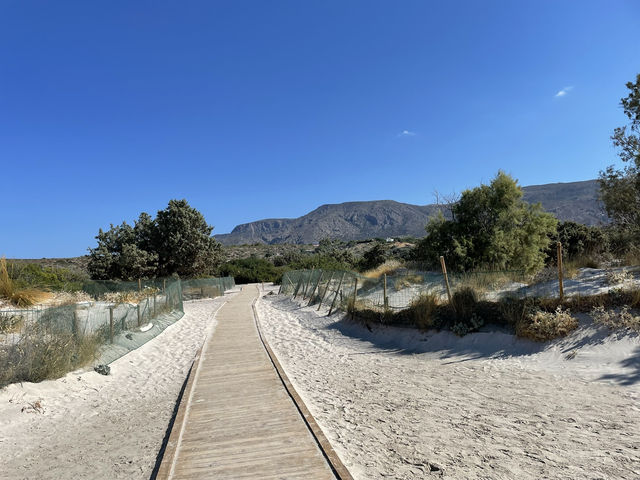 Paradise 🏖️
