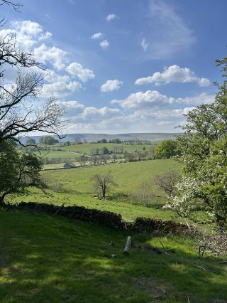 Bowland in the spring 