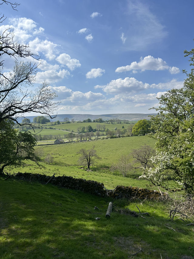 Bowland in the spring 