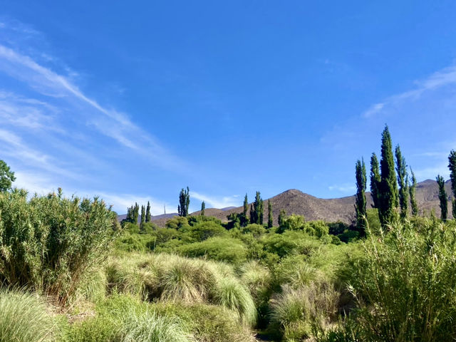 The High-Altitude Escape 🌬️🏞️