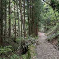 Magome-Tsumago Trail (Old Nakasendo). Personal recommendations