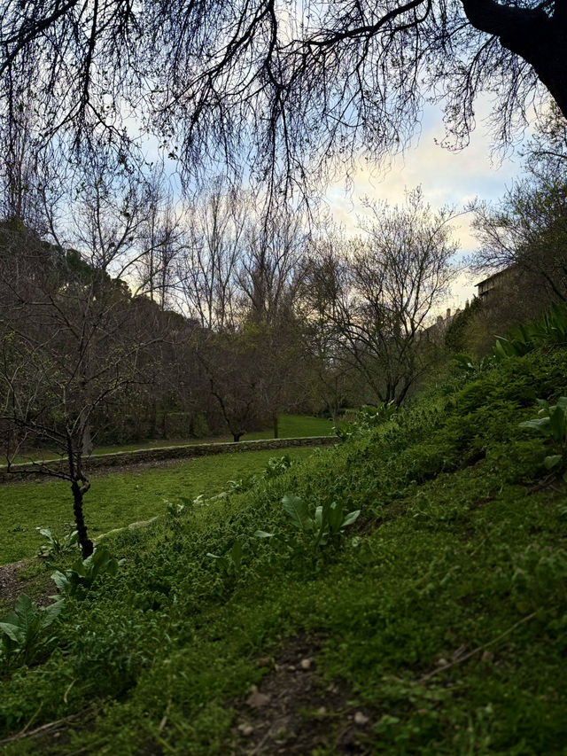 From Hontanilla to San Marcos and Pinarillo Trails