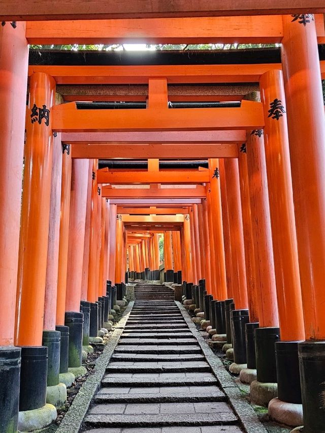 Kyoto: Where Tradition Breathes