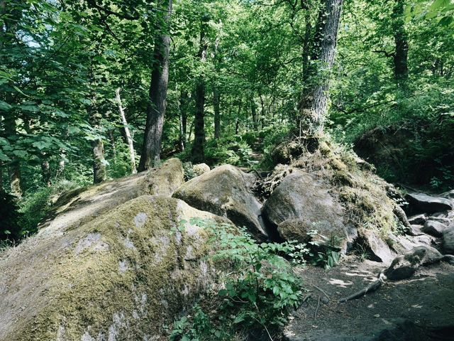 🏞️☀️ The Peak District: Your Dream Summer Escape (Without the Price Tag!)