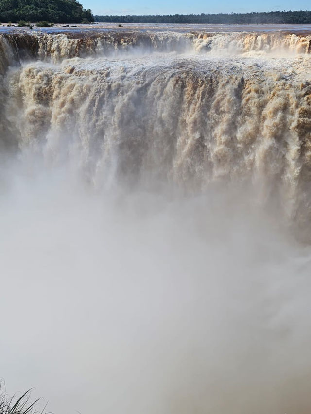 Nature’s Roar Echoes