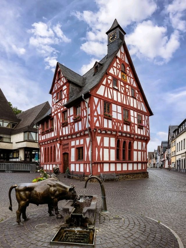 🍇 Rhineland-Palatinate: Vineyards, Castles, and River Magic 🏰🇩🇪