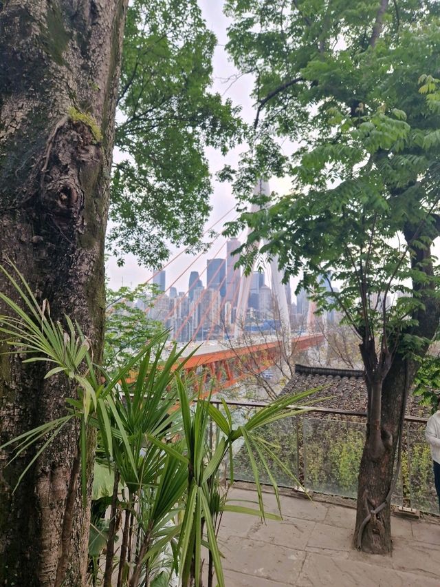 Own Chongqing in 3 Days with Just $100 🔥🇨🇳