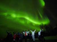 Northern Lights in Senja – A Magical Arctic Escape 🌌❄️