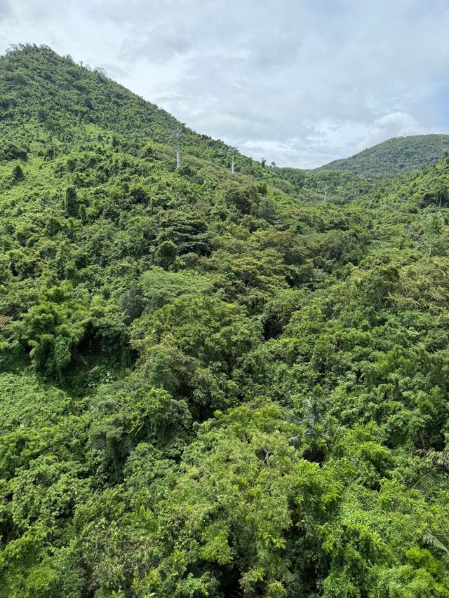 Янода Тропический парк (Хайнань) Янода Тропический парк (Хайнань)