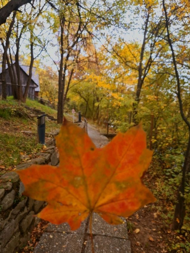 🍂 The Village Museum in Bucharest – A Peaceful Autumn 
