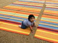 Eden Project Smokey Room…