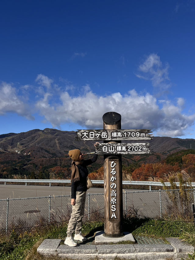 Nagoya to Takayama & Shirakawa-go 🏯🌿Day dream trip