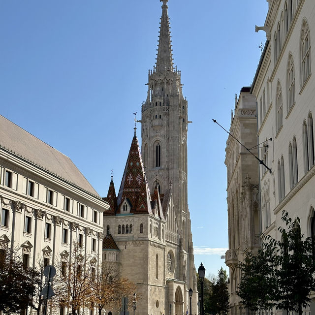 Fall colors in Budapest 