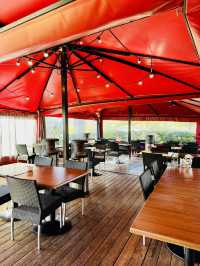 🍷🥩 Wonderful Local Lunch at La Vinya Grill — A True Hidden Gem in Barcelona