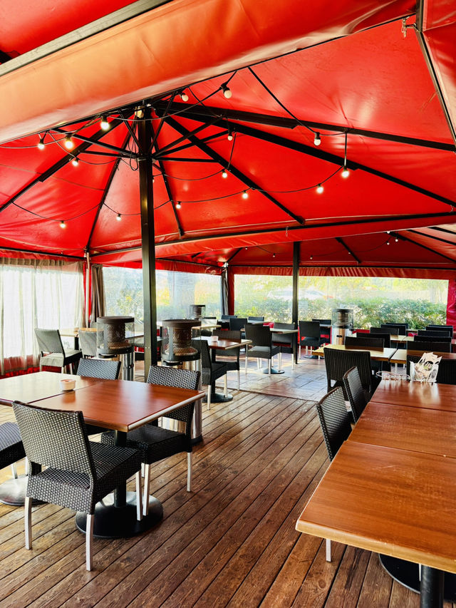 🍷🥩 Wonderful Local Lunch at La Vinya Grill — A True Hidden Gem in Barcelona