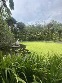 💮 🌿✨ Gardens by the Bay -Daytime