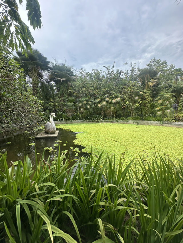 💮 🌿✨ Gardens by the Bay -Daytime