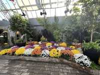 Muttart Conservatory