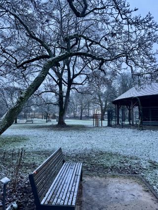 Parkside Stroll🚶‍♂️